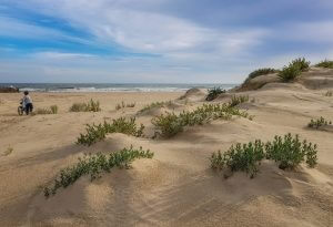 Dunas costeras