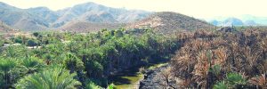 Reservas Naturales en México