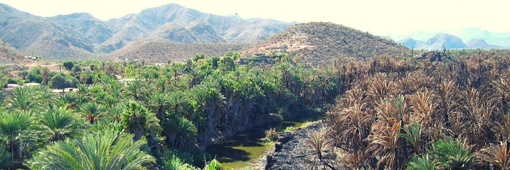 Reservas Naturales en México