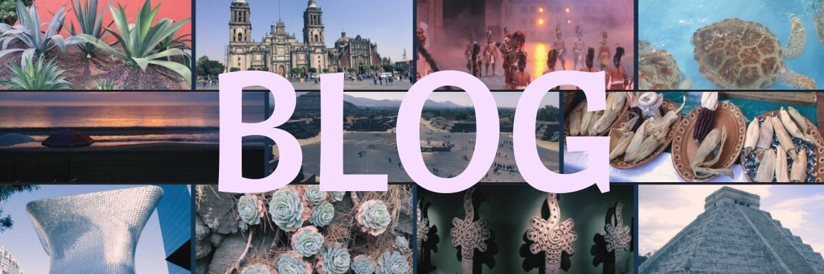 Collage de fotos de México, agaves, catedral, danzantes, tortugas, playa, teotihuacan, tamales, museo soumaya, suculentas, piezas arqueológicas, Chichen-Itza
